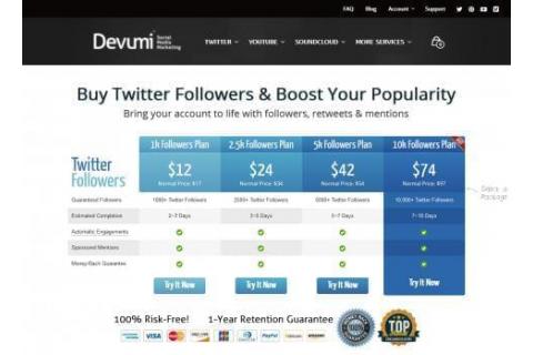 Devumi buy twitter followers screenshot
